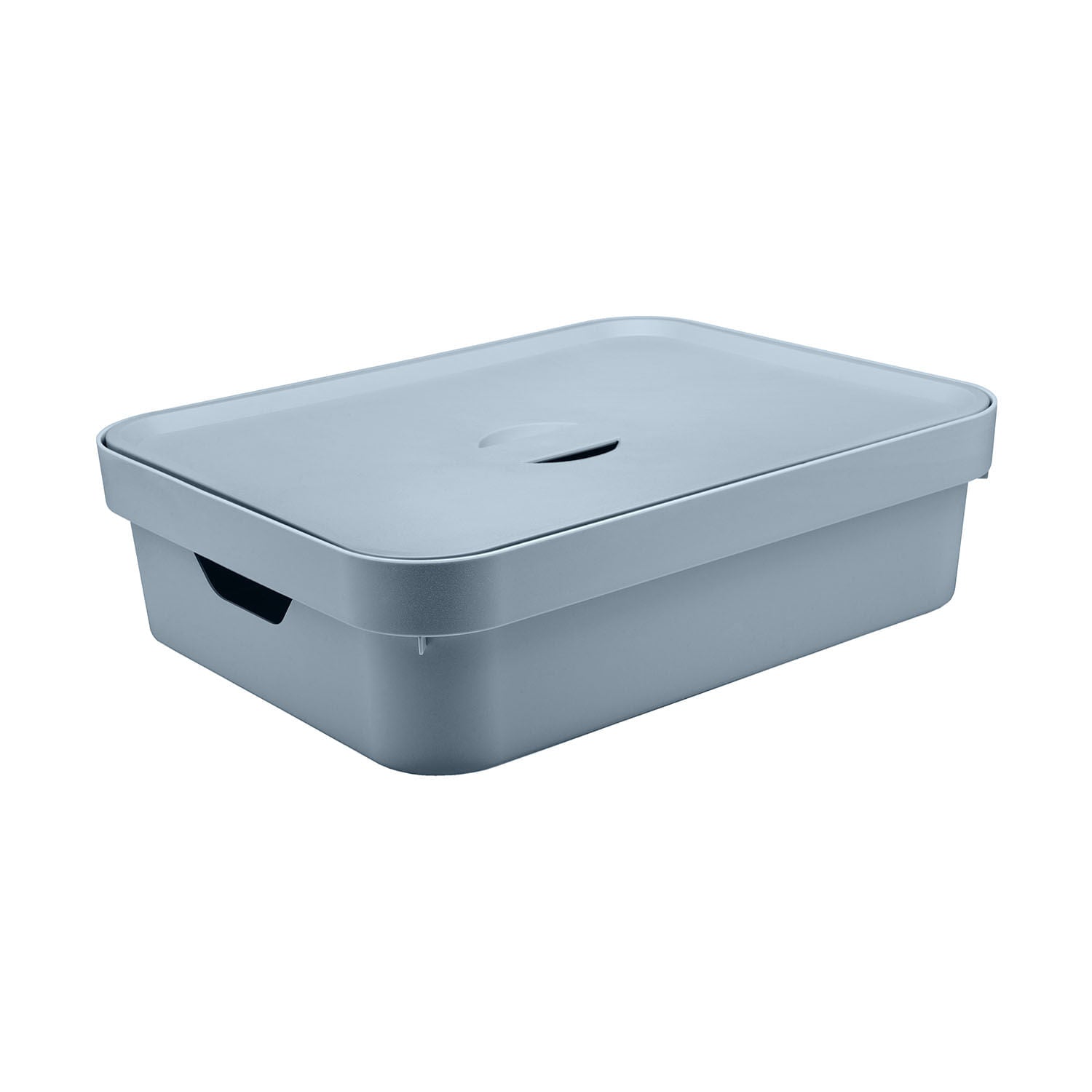 Caixa organizadora Ou 16L Linha com tampa Linha Cube