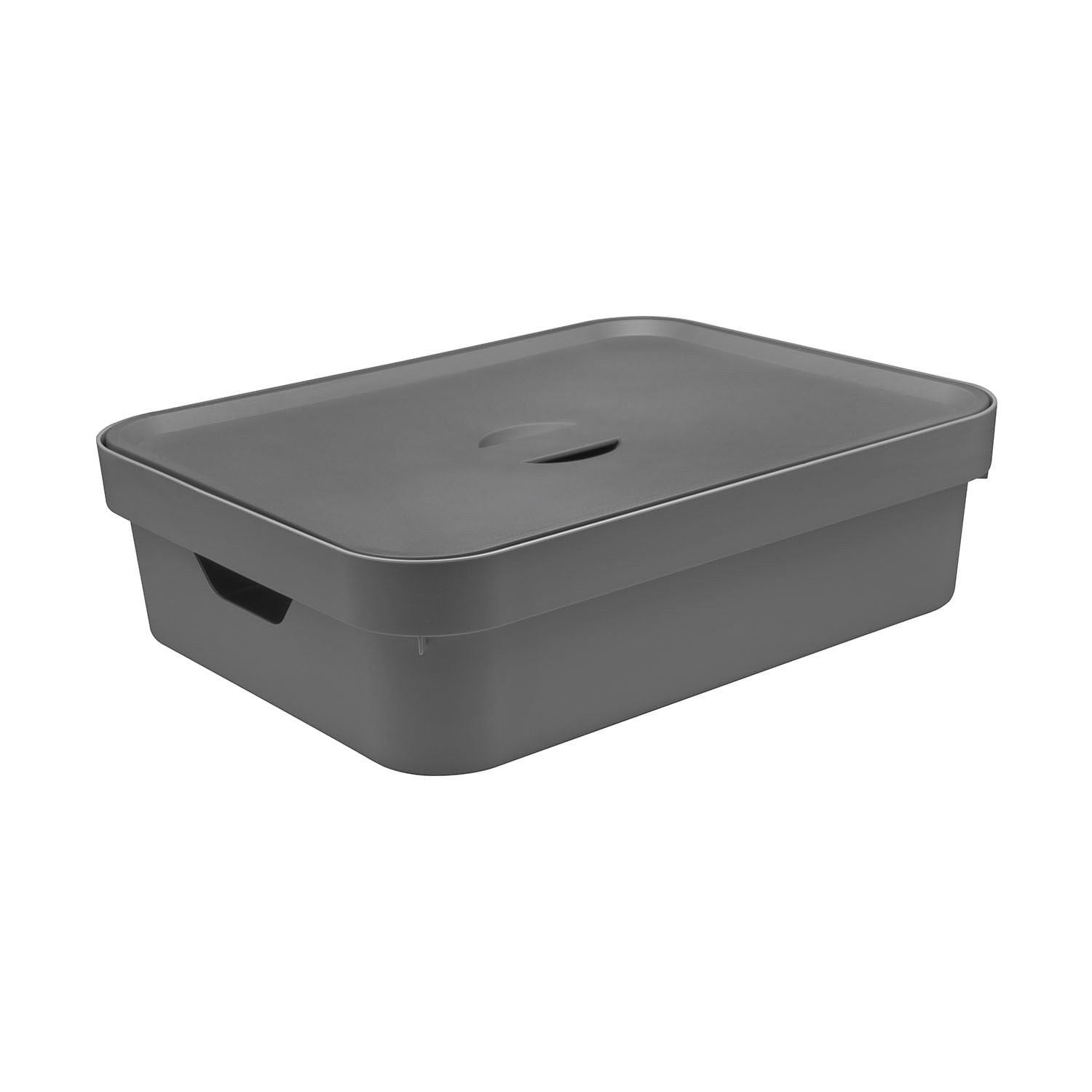 Caixa organizadora Ou 16L Linha com tampa Linha Cube