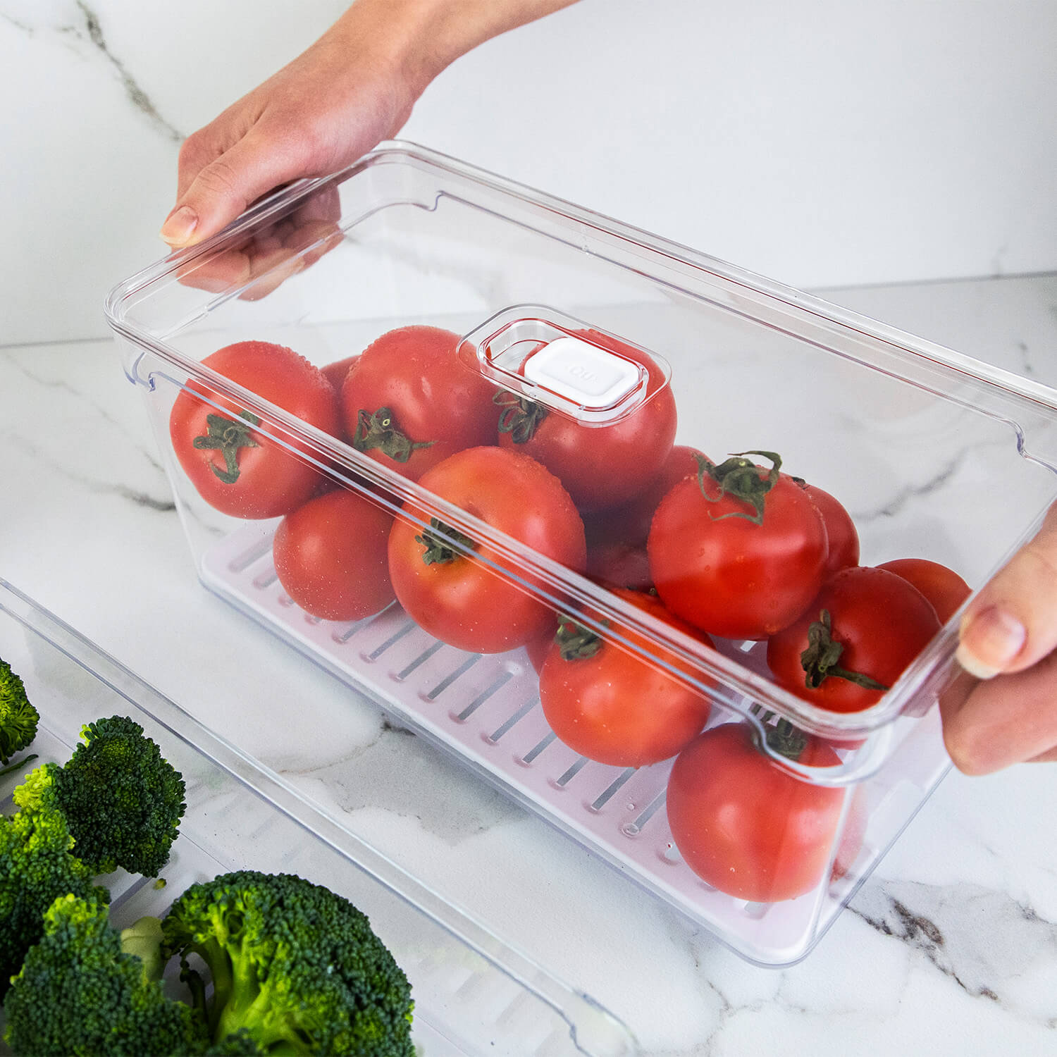 Organizador de geladeira com tampa Ou 5L Linha Clear Fresh