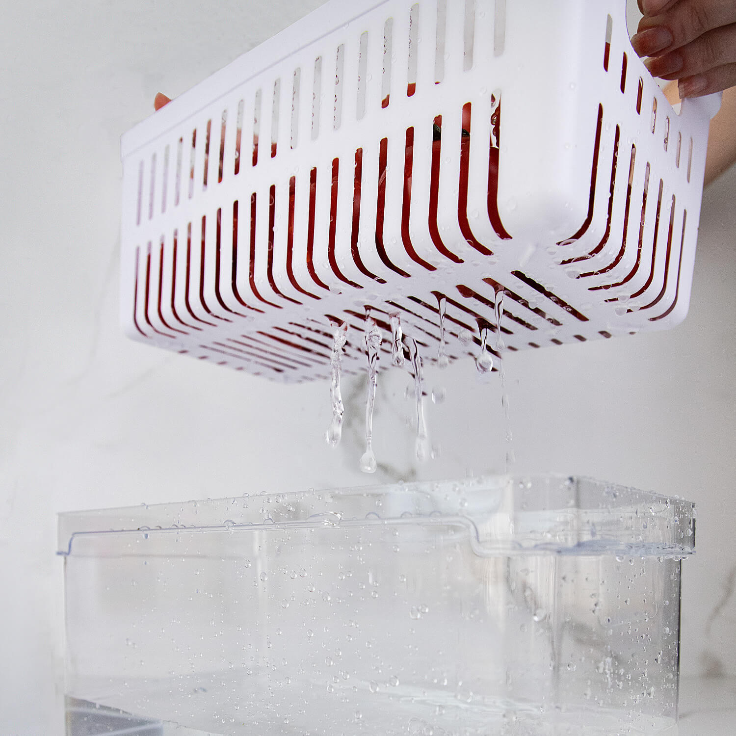 Organizador de geladeira com cesto Ou 5L Linha Clear Fresh